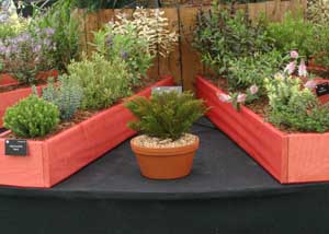 Hebe Society exhibit at RHS Hampton Court Palace Garden Festival, July 2019